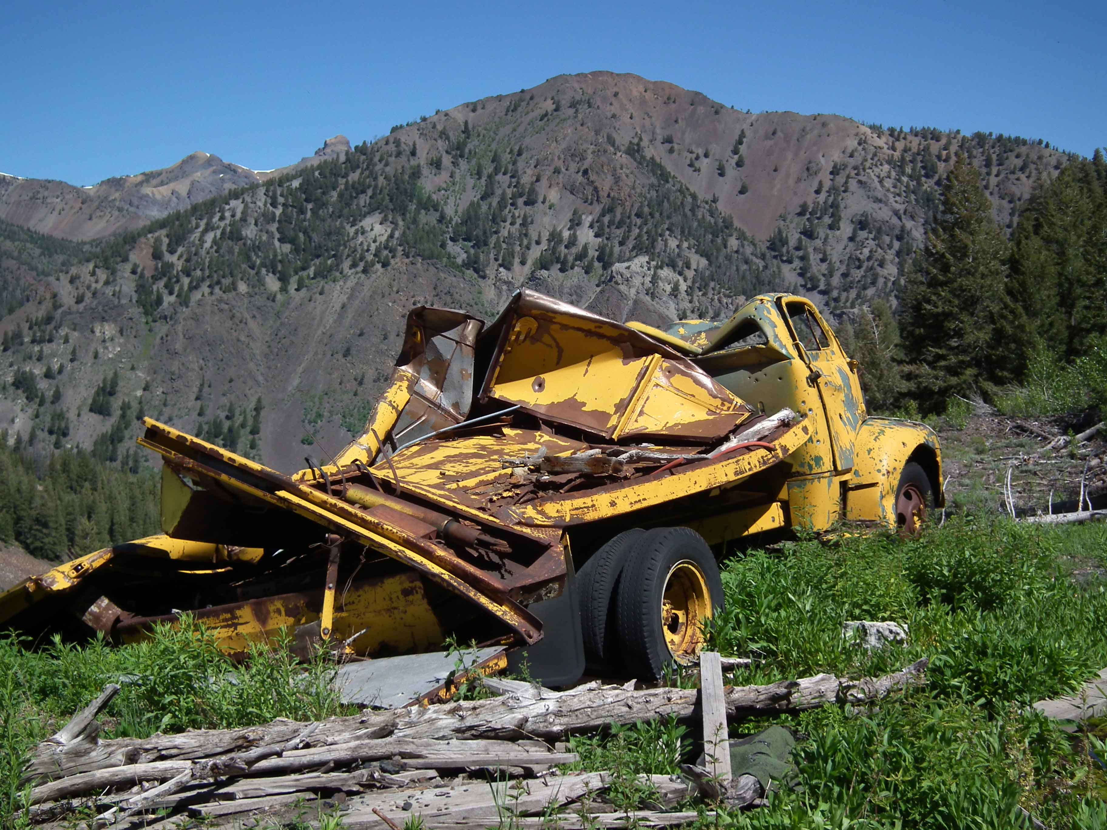 bird watching, black mask, C&O Canal, Cardinalis cardinalis, Class: Aves, crest, DC, Dick Maley, display, Family: Cardinalidae, Fuji Digital Camera S9600, Genus: Cardinalis, Google Images, Hughes Hollow, Hunting Quarter Road, Kingdom: Animalia, Marsh, Maryland, MD, Montgomery County, North America, Northern Cardinal, Order: Passeriformes, photography, Phylum: Chordata, Poolesville, Potomac, Redbird, Richard Maley, river, Species: C cardinalis, USA, Virginia nightingale, Washington, Wetlands